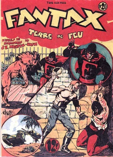 Cover of Terre de Feu
