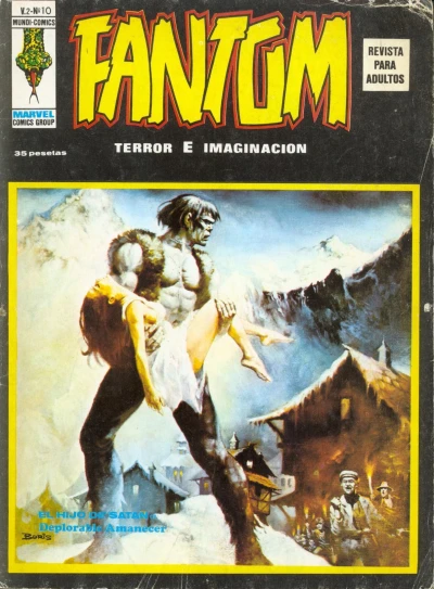 Cover of Issue #10