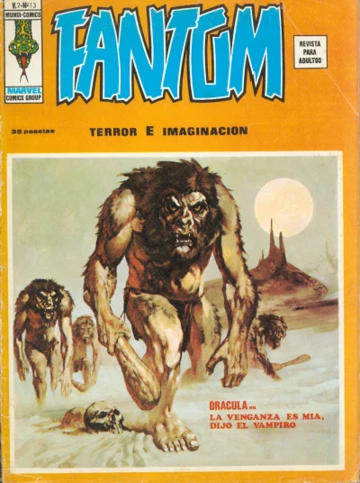 Cover of Issue #13