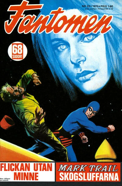 Cover of Flickan Utan Minne