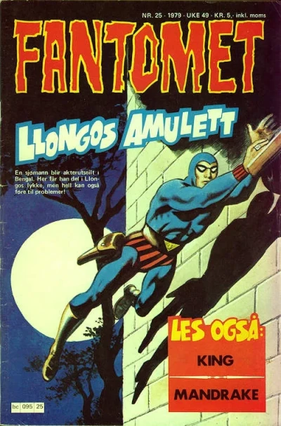 Cover of Llongos amulett
