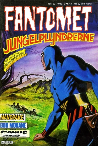 Cover of Jungelplyndrerne