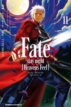Volume 11