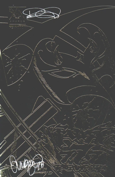 Cover of Darkness in Collision