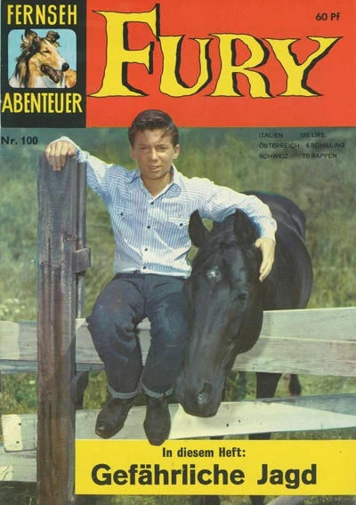Cover of Fury