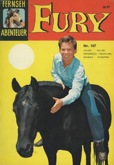 Cover of Fury