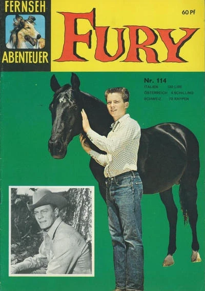 Cover of Fury