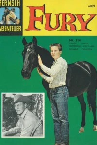 Fury