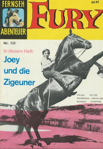 Cover of Fury