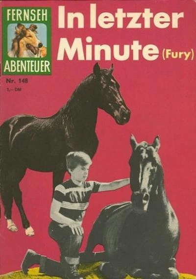 Cover of In letzter Minute (Fury)