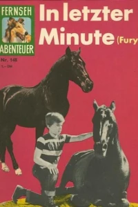In letzter Minute (Fury)