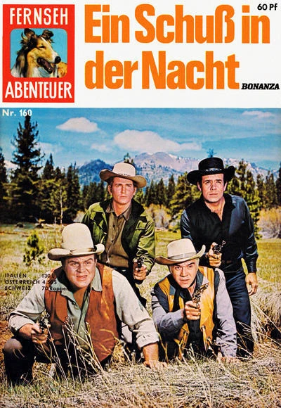 Cover of Ein Schuss in der Nacht