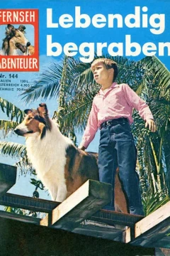 Lebendig begraben