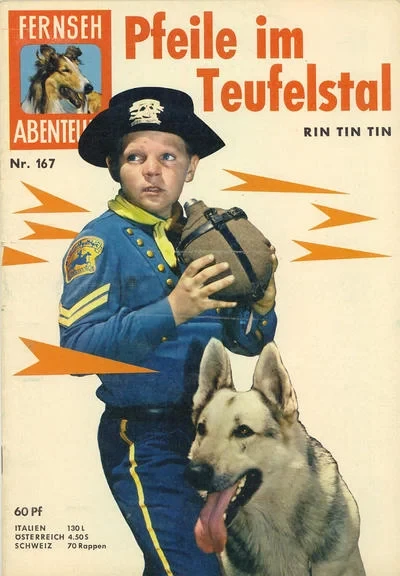 Cover of Pfeile im Teufelstal Rin Tin Tin