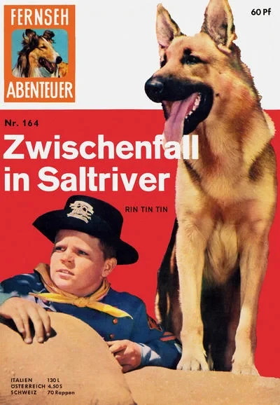 Cover of Zwischenfall in Saltriver Rin Tin Tin
