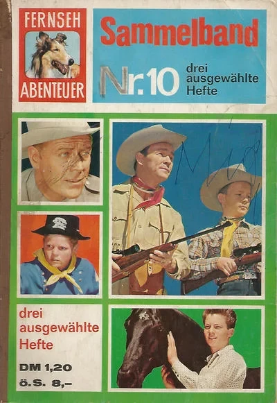Cover of Issue #10