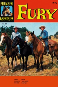 Fury