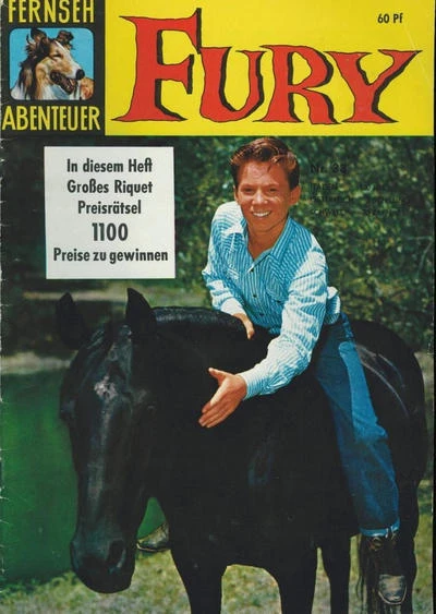 Cover of Fury
