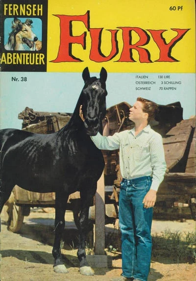 Cover of Fury