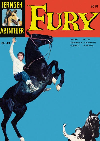 Cover of Fury