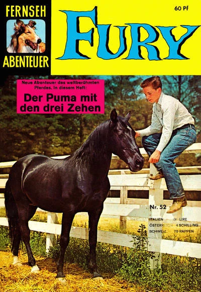 Cover of Fury
