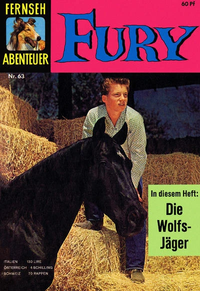 Cover of Fury