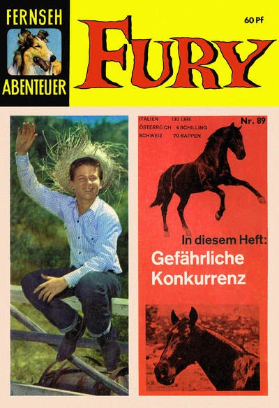 Cover of Fury