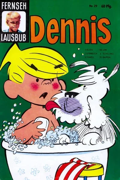 Cover of Issue #29