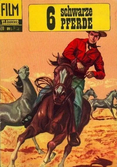 Cover of 6 schwarze Pferde