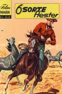 6 sorte hester