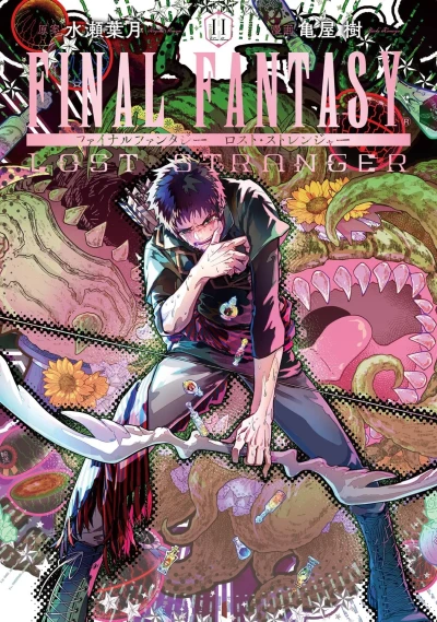 Cover of Vol. 11