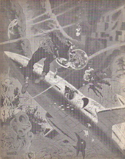 Cover of Wood and EC