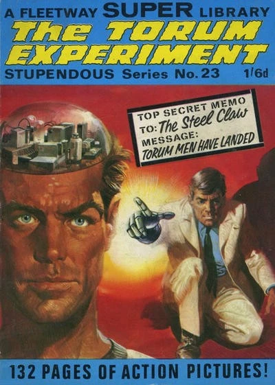 Cover of The Torun Experiment