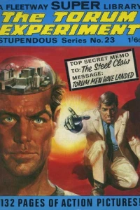 The Torun Experiment