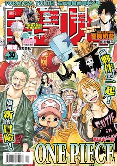 Cover of No. 30, 2013