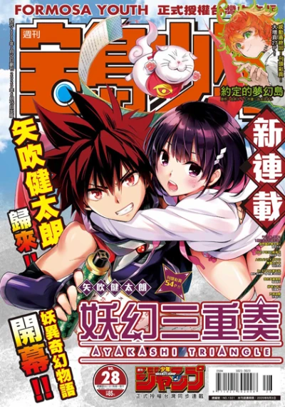 Cover of No. 28, 2020