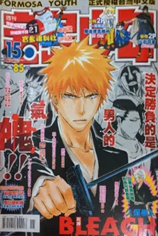 Cover of No. 15, 2008
