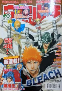 Cover of No. 38, 2008
