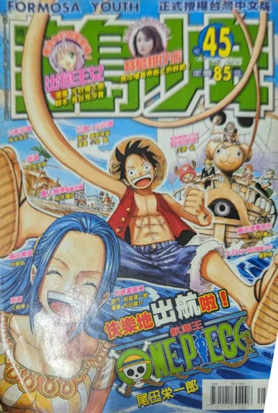 Cover of No. 45, 2007