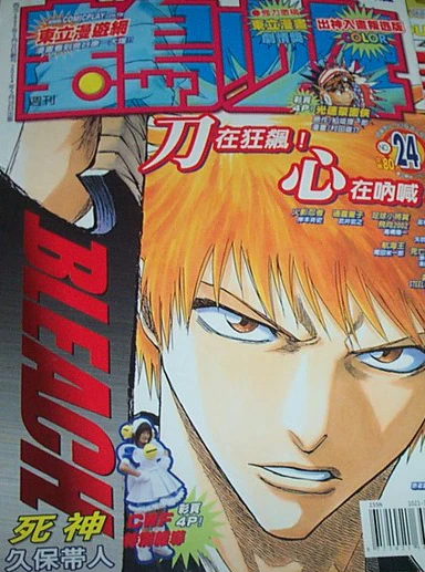 Cover of No. 24, 2004