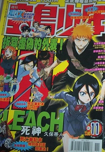 Cover of No. 11, 2005