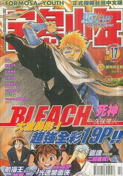 Cover of No. 17, 2005