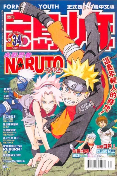 Cover of No. 34, 2005