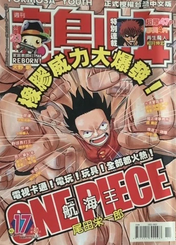 Cover of No. 17, 2006