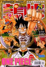 Cover of No. 29, 2007