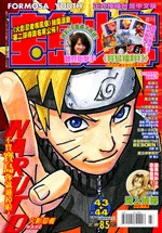 Cover of No. 43-44, 2007