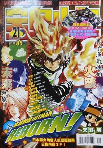 Cover of No. 21, 2008