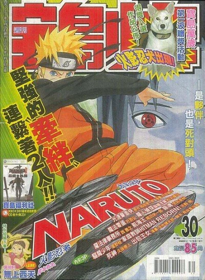 Cover of No. 30, 2008