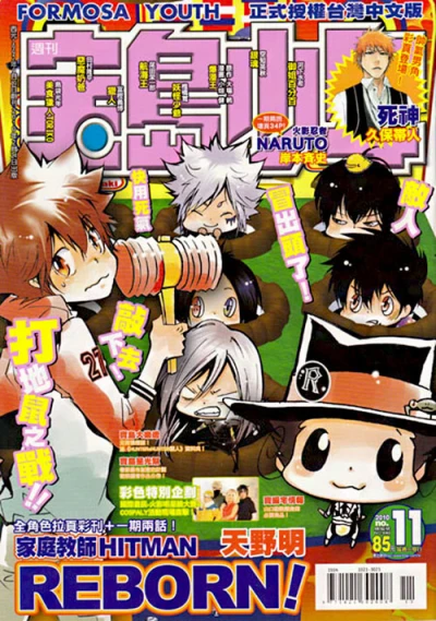 Cover of No. 11, 2010