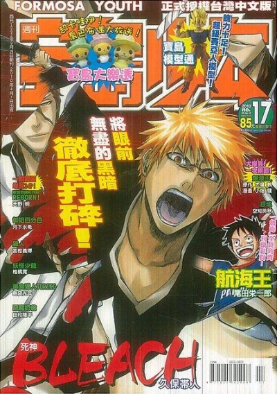 Cover of No. 17, 2010